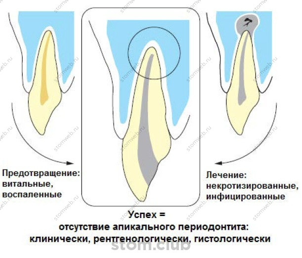 Безымянный.jpg